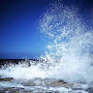 Meet your Posher, Kaitlin